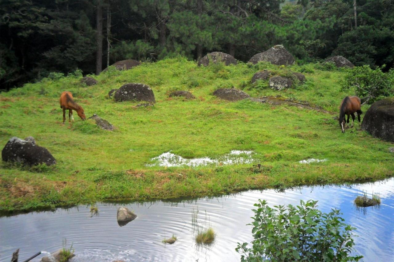 Willa Fazenda Monte Verde A Morada Do Muriqui São Francisco Xavier Zewnętrze zdjęcie