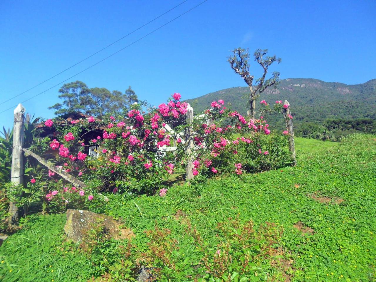 Willa Fazenda Monte Verde A Morada Do Muriqui São Francisco Xavier Zewnętrze zdjęcie