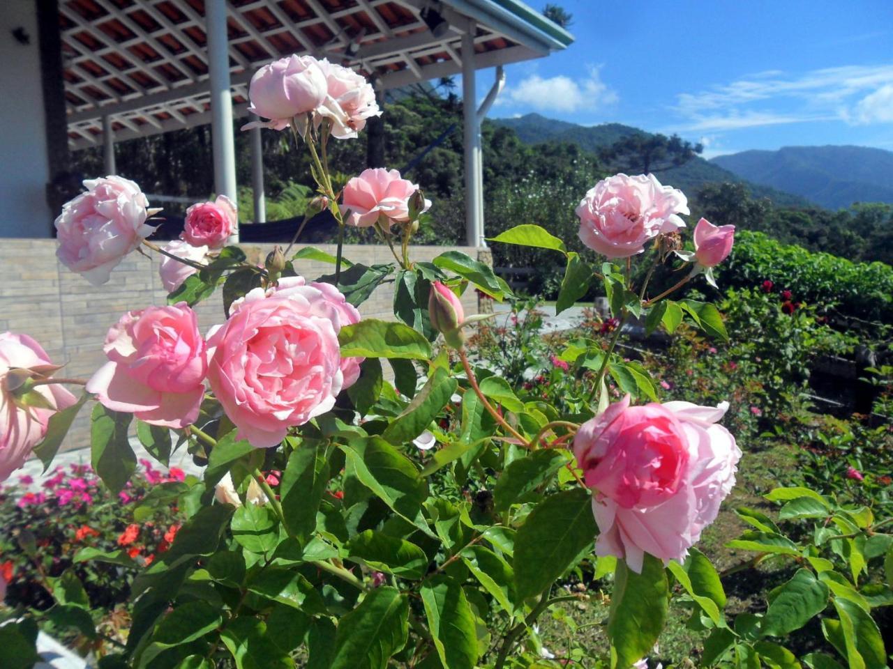 Willa Fazenda Monte Verde A Morada Do Muriqui São Francisco Xavier Zewnętrze zdjęcie